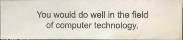 Fortune: You would do well in the field of computer technology.